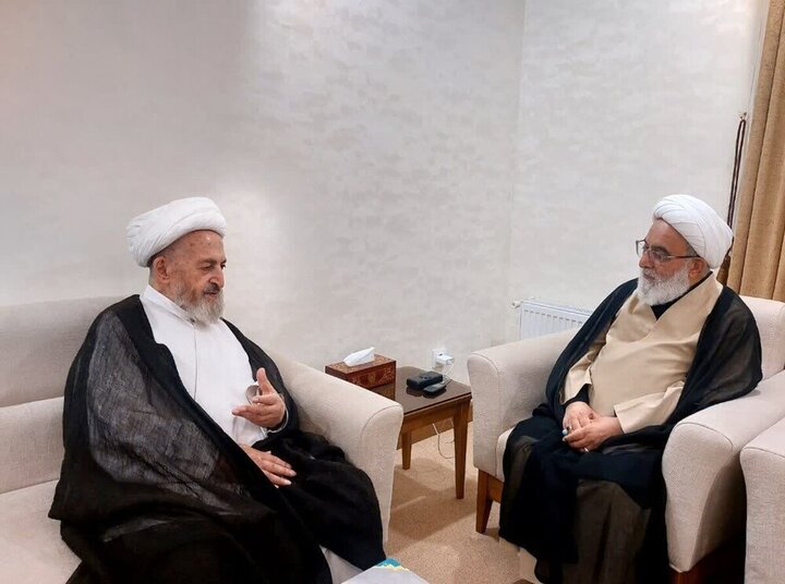 تاکید آیت‌الله سبحانی بر تقویت دروس آزاد در حوزه‌های علمیه