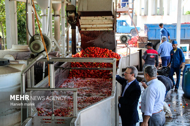 سفر وزیر تعاون، کار و رفاه اجتماعی به گلستان