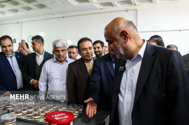 الگوی موفق کارآفرینی زنان در گنبد؛ بازدیدوزیر از یک کارگاه شیرینی پزی