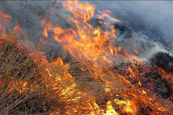 تلاش برای التهابآفرینی در کردستان توسط مزدوران رسانهای اسرائیل