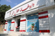 از مطالبه تا مجوز؛داروی بیماران خاص کرمانشاه پشت درِ داروخانه نمی‌ماند