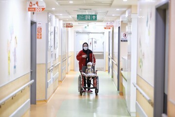 استان‌های تهران و البرز پایلوت نظام ارجاع سازمان تأمین اجتماعی شدند