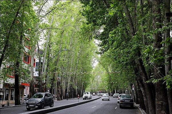 آغاز بهسازی میدان تجریش تهران با حفظ 2400 اصل درخت
