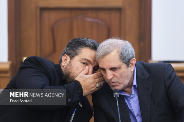 نشست هم اندیشی معاونین امور مجلس وزارتخانه ها و دستگاههای اجرایی 4