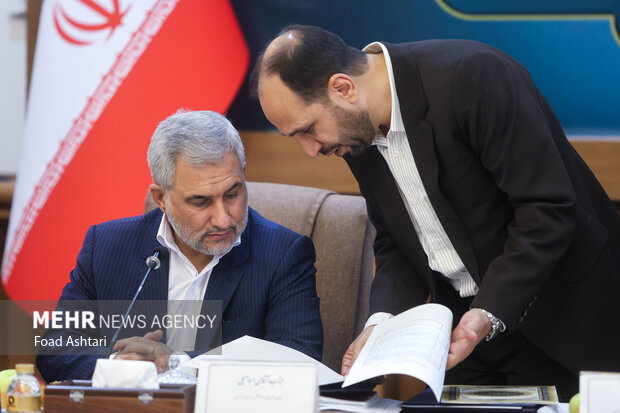 نشست هم اندیشی معاونین امور مجلس وزارتخانه ها و دستگاههای اجرایی 6