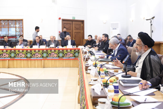 نشست هم اندیشی معاونین امور مجلس وزارتخانه ها و دستگاههای اجرایی 18