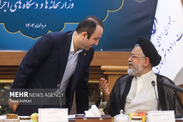 نشست هم اندیشی معاونین امور مجلس وزارتخانه ها و دستگاههای اجرایی 16