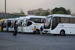 جابه‌جایی ۳۱۶ هزار زائر رضوی با ناوگان حمل‌ونقل عمومی جاده‌ای
