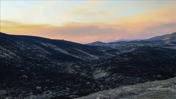 وقوع آتشسوزی جنگلها در آمریکا