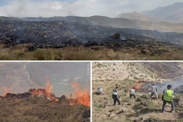 آتش‌ سوزی در مراتع دشت لار با حضور به‌ موقع محیط‌ بانان مهار شد