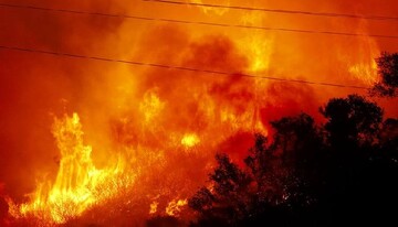 Wildfire continues to rage across US Grand Canyon park