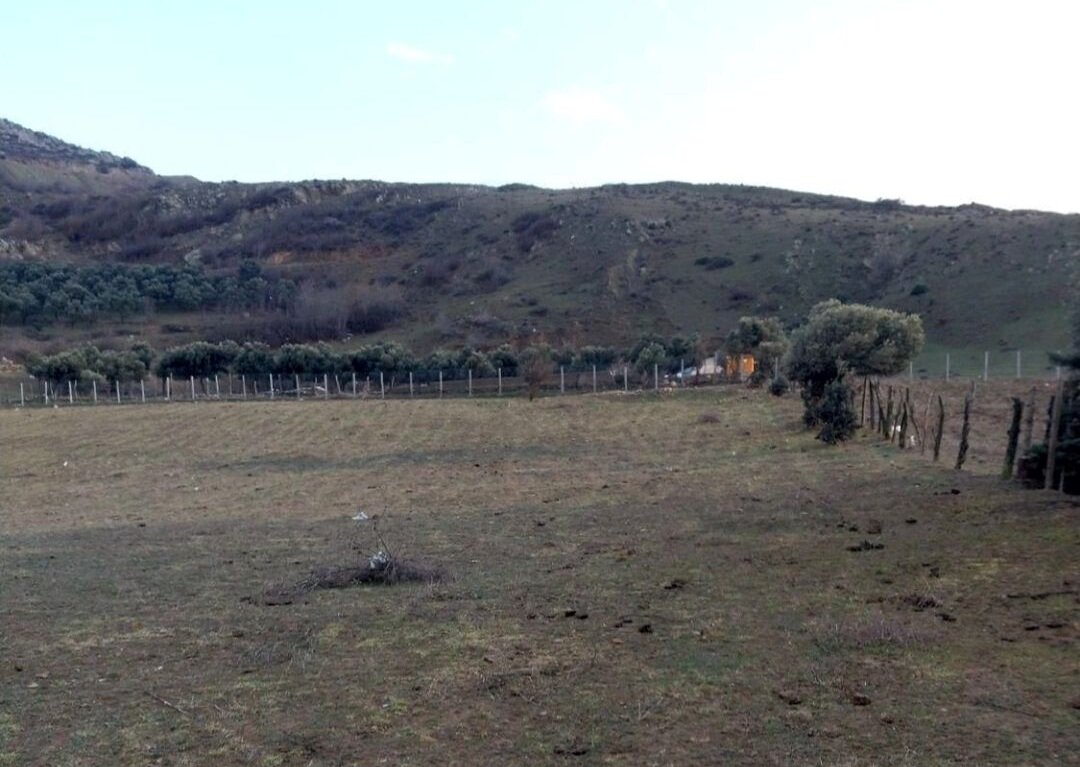 کشف زمین خواری ۱۲۰ میلیارد ریالی در رودبار