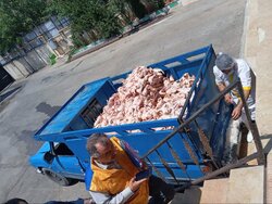 محمدپور: ۱۵ تن فرآورده دامی غیربهداشتی در سردشت کشف شد