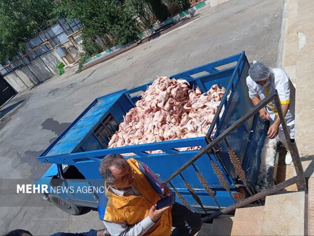معدوم‌سازی بیش از ۲ تن گوشت آلوده در دماوند