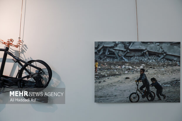 از گلایه خانواده فرشچیان تا حرفوحدیثهایی که شفافسازی فجر در پی داشت