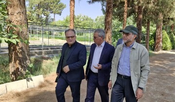 ضرورت حفظ گونه‌های گیاهی بومی؛ مجلس حامی طرح یک‌ میلیارد درخت