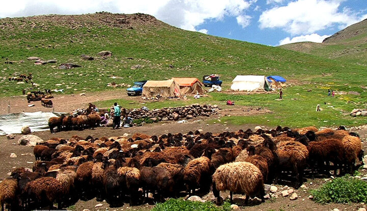 عشایر ایلام؛ پیشگام تولید در سایه نبود زیرساخت ها