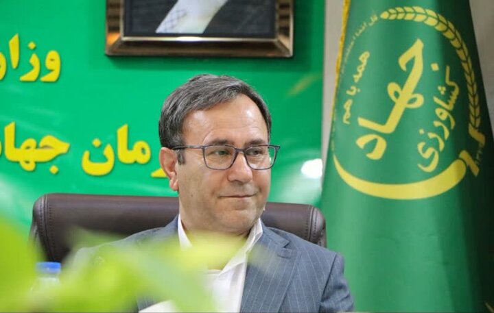 ۴۰ هکتار گلخانه جدید در لرستان احداث میشود