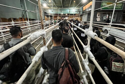 پایانه مرزی شلمچه به رغم بمباران دشمن به خدمات‌رسانی ادامه می‌دهد