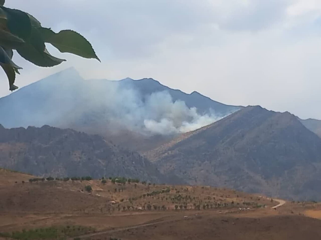 تشکیل پرونده قضایی برای ۵ نفر از عوامل انسانی آتش سوزی جنگل های ایلام تشکیل پرونده قضایی برای ۵ نفر از عوامل انسانی آتش سوزی جنگل های ایلام