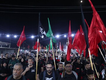 حرکت اربعین در ۱۲ سال اخیر به یک حرکت جهانی تبدیل شده است