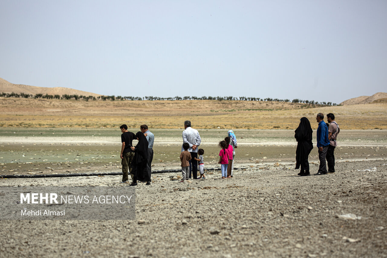 «پری» قربانی کشاورزی غیراصولی؛ تبعات برداشت بی رویه آب