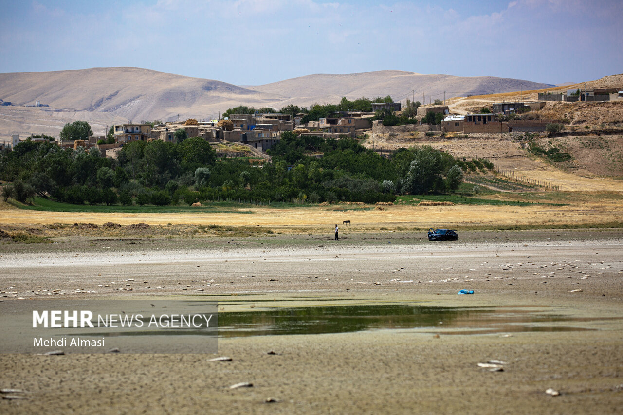 «پری» قربانی کشاورزی غیراصولی؛ تبعات برداشت بی رویه آب