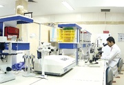 Notable Progress in Cell Therapy