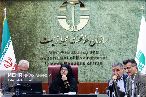 نشست رییس سازمان محیط زیست با تشکل‌های محیط زیستی