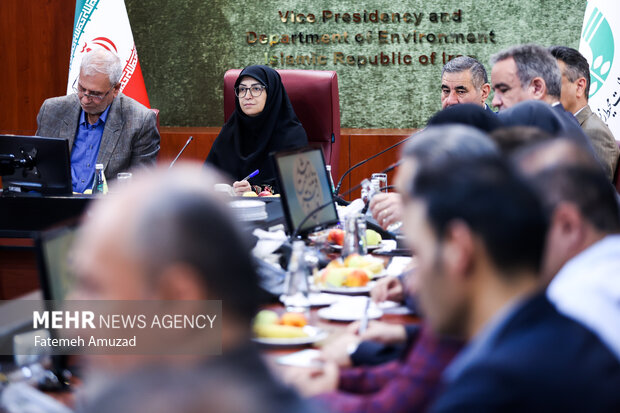 نشست رییس سازمان محیط زیست با تشکل‌های محیط زیستی