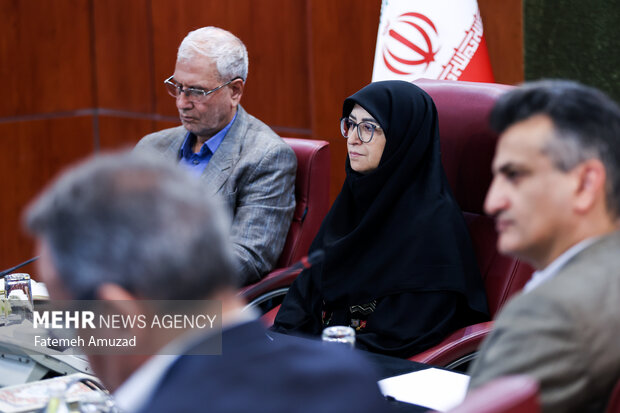 نشست رییس سازمان محیط زیست با تشکل‌های محیط زیستی