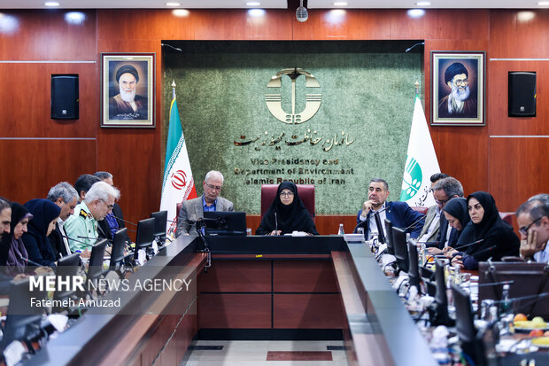 نشست رییس سازمان محیط زیست با تشکل‌های محیط زیستی