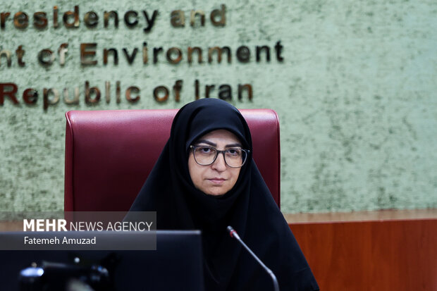 نشست رییس سازمان محیط زیست با تشکل‌های محیط زیستی