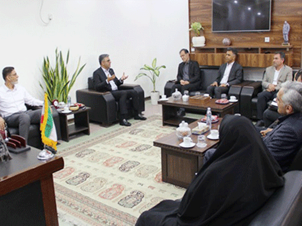 اجرای سطوح ۲ و ۳ طرح پزشک خانواده در دشتستان