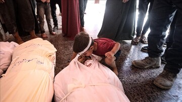 Israeli army kills 29 Palestinians in Gaza in past 24 hours