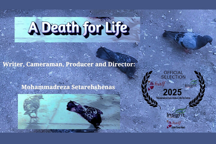 «مرگی برای زندگی» به هندوستان میرود