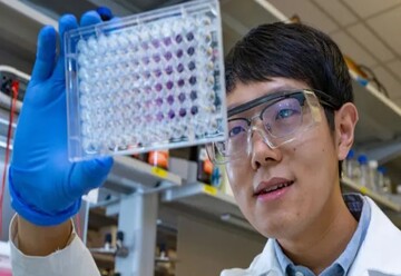 باکتری‌هایی که به کمک استخوان‌های ما می‌آیند