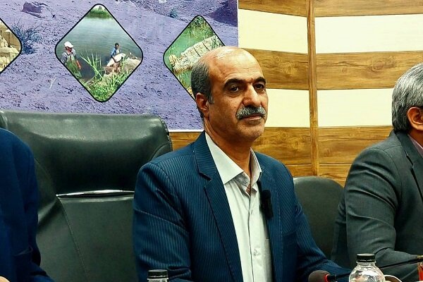 ارتزاق بیش از ۳۸۰۰ خانواده در هیرمند از طریق کولهبری قانونی