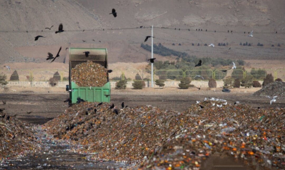 کلاف سردرگم پسماند در بوشهر؛ از چالش زیستمحیطی تا فرصت توسعه پایدار
