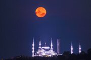 Ağustos'ta ''Mersin Balığı Dolunayı'' yaşandı