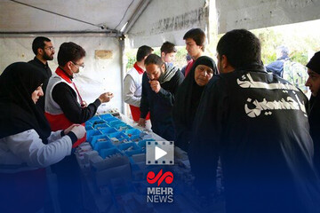 هلال احمر با ۱۸۵ موکب و ۲۲۰ دستگاه خودرو عملیاتی در عراق مستقر شده است