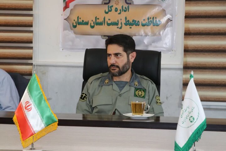 آغاز فصل گاو بانگی در استان سمنان؛ نغمه عشق و بقا در جنگل هیرکانی ابر