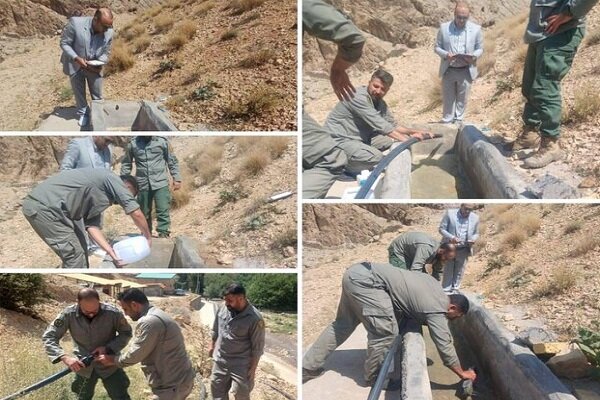 توزیع ۱۶۰ گالن ضدعفونیکننده برای پیشگیری از بیماری در حیات وحش تهران