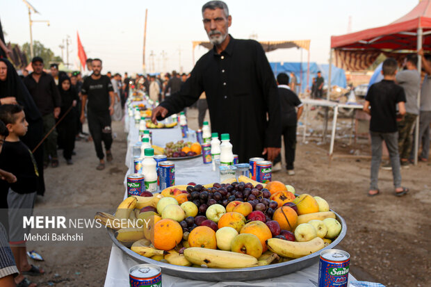 پیاده روی زائران از مسیر مسیب به کربلا