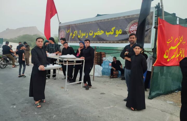 شکوه پیادهروی جاماندگان اربعین در «دیر»؛ از عشق حسینی تا پیام مقاومت