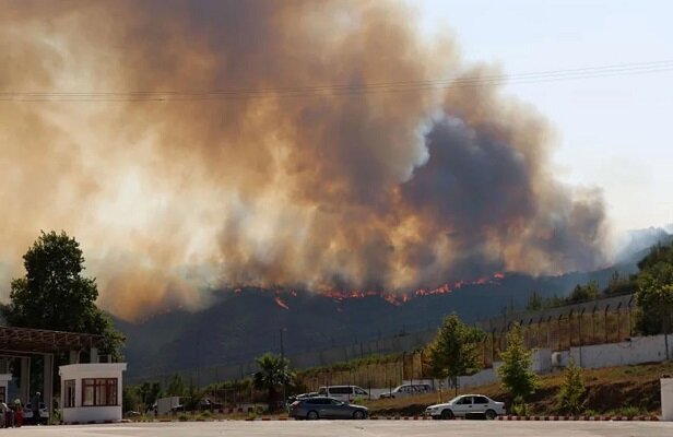 İzmir’de yeni orman yangını! İzmir’de yeni orman yangını!