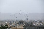 داداشی: وزش باد شدید و رگبار پراکنده در خراسان شمالی پیش‌بینی می‌شود