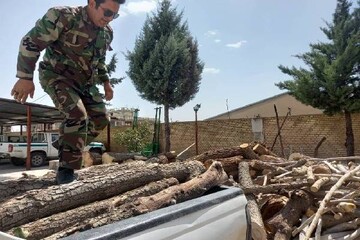 توقیف کامیون حامل ۱۰ تن هیزم قاچاق در شهرستان دنا