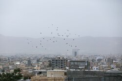 داداشی: وزش باد شدید و رگبار پراکنده در خراسان شمالی پیش‌بینی می‌شود