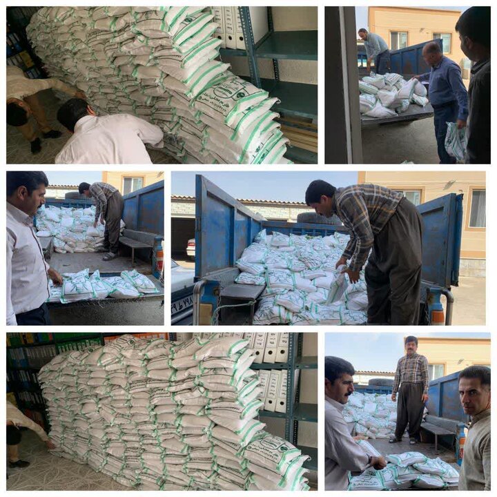 اهدای یک تُن برنج از سوی خیر شمالی به ایتام و نیازمندان دیواندره